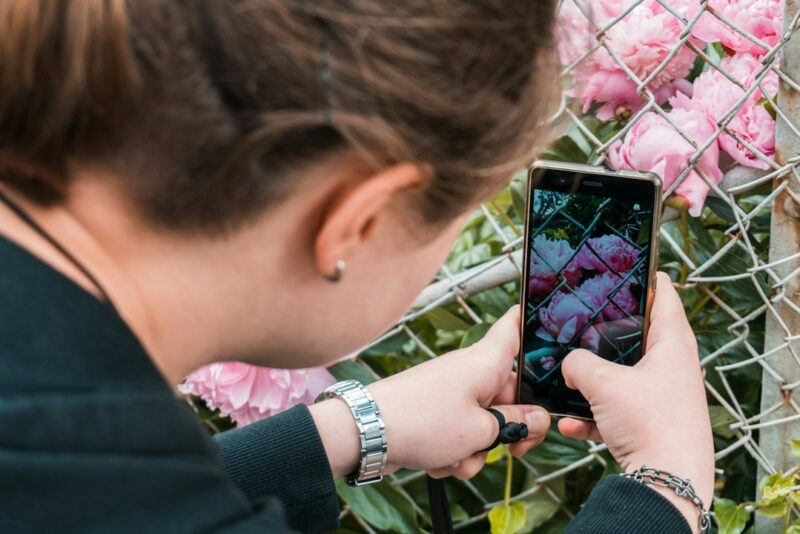 Best Plant Care and Identification Apps for Gardeners